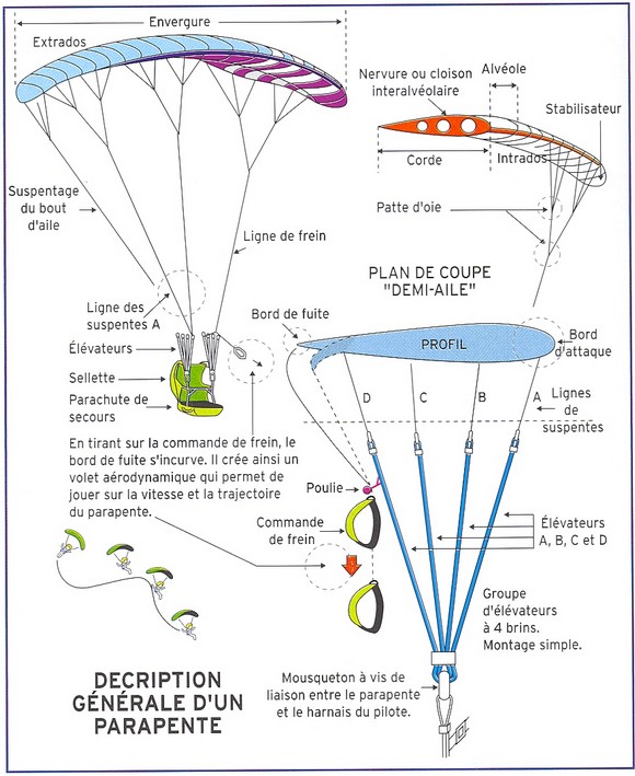Les diffrentes parties du parapente