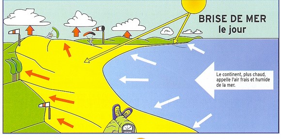 Brise de mer